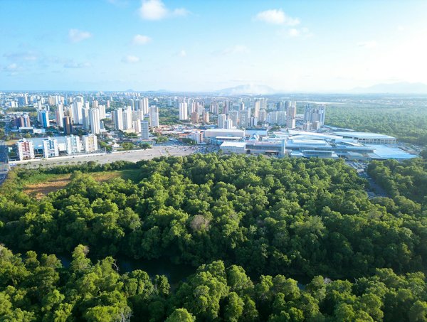 Recettes incontournables et conseils délicieux à découvrir sur mon instant gourmand